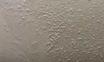 888�ڲ���-����Ϊ��,רҵ����