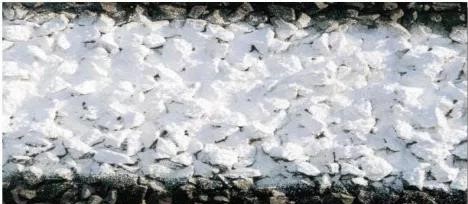 888�ڲ���-����Ϊ��,רҵ����