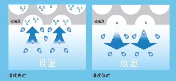 888�ڲ���-����Ϊ��,רҵ����