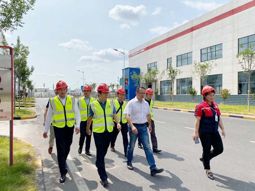 888�ڲ���-����Ϊ��,רҵ����