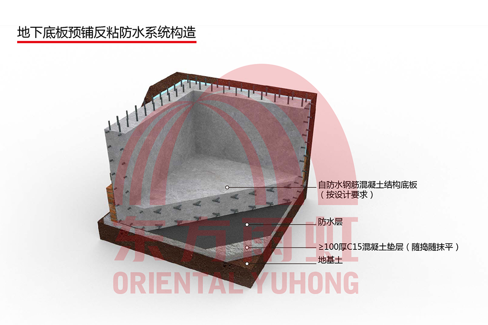 888�ڲ���-����Ϊ��,רҵ����