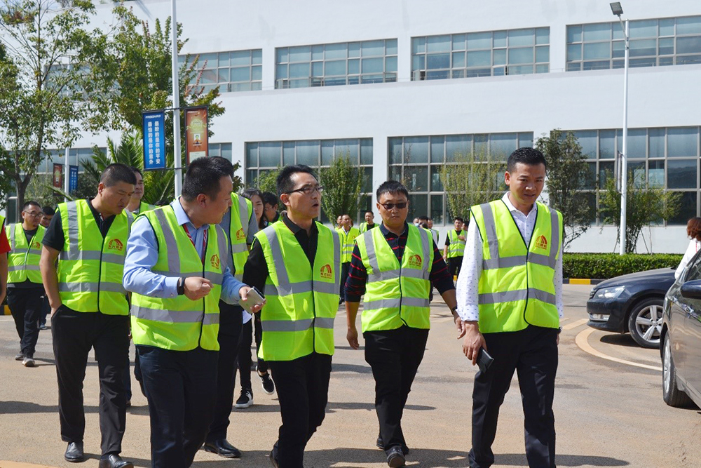 888�ڲ���-����Ϊ��,רҵ����