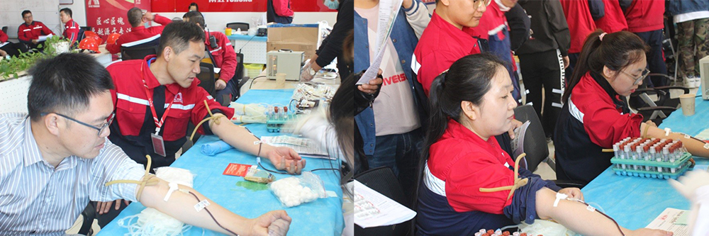 888�ڲ���-����Ϊ��,רҵ����