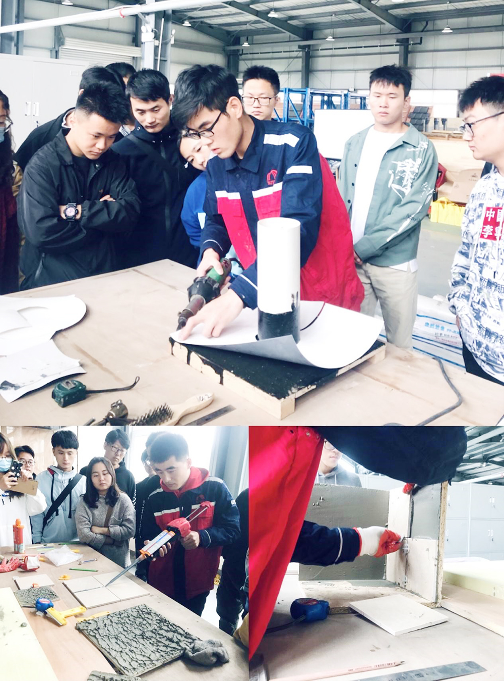 888�ڲ���-����Ϊ��,רҵ����