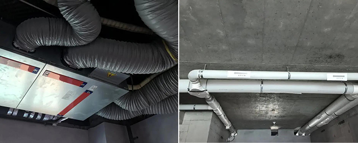 888�ڲ���-����Ϊ��,רҵ����