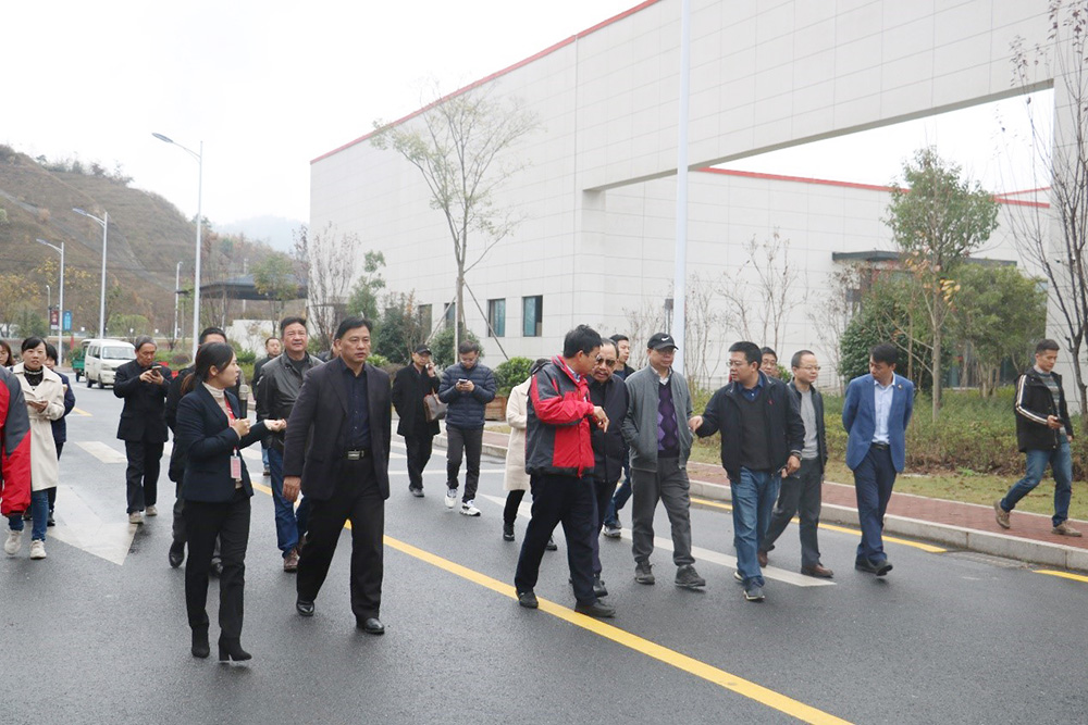 888�ڲ���-����Ϊ��,רҵ����