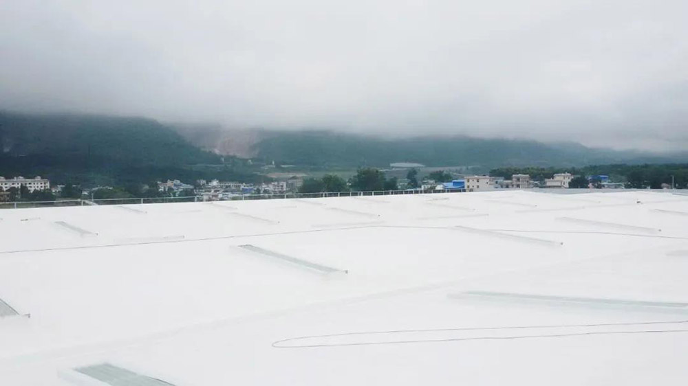 888�ڲ���-����Ϊ��,רҵ����