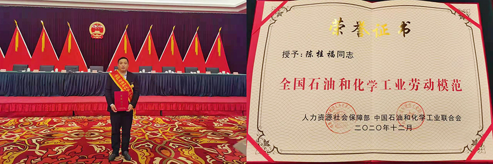 888�ڲ���-����Ϊ��,רҵ����