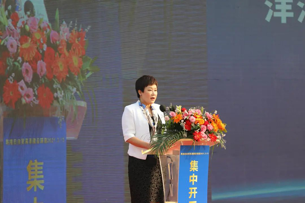 888�ڲ���-����Ϊ��,רҵ����