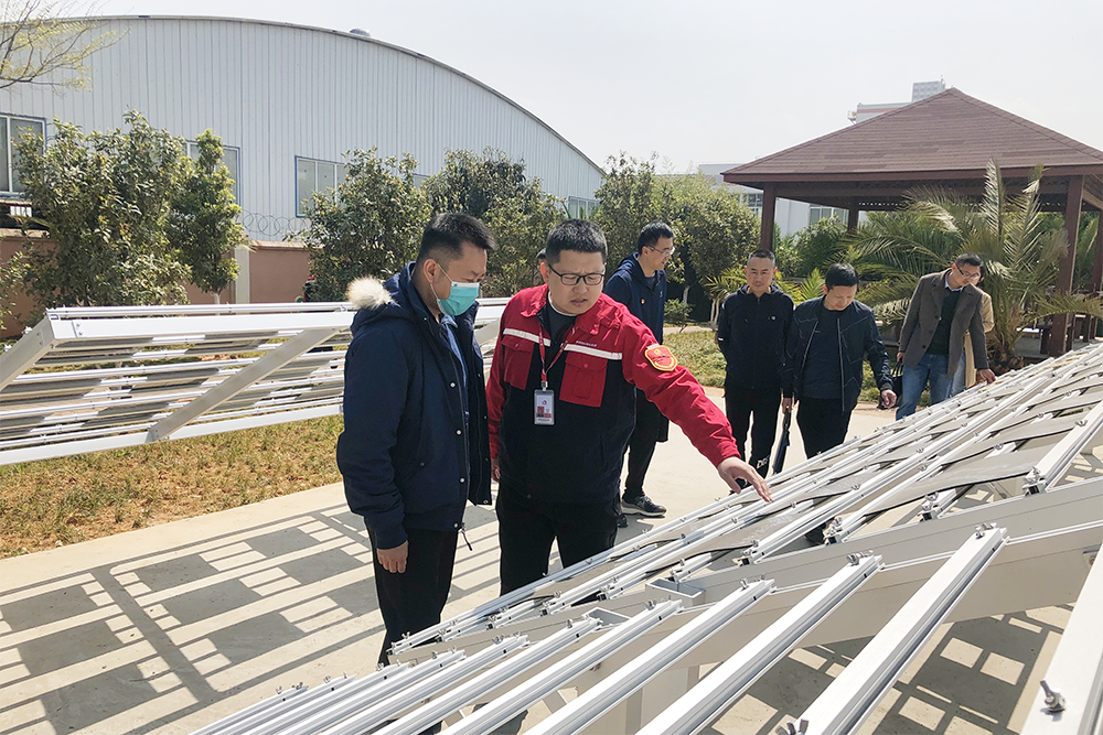 888�ڲ���-����Ϊ��,רҵ����