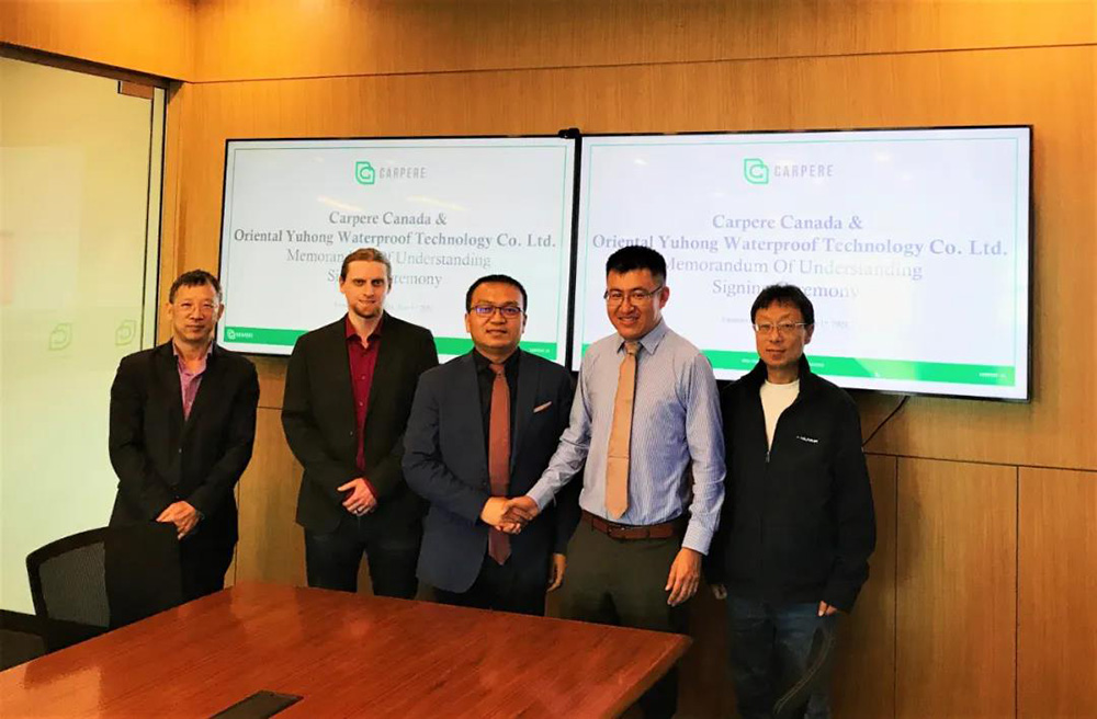 888�ڲ���-����Ϊ��,רҵ����