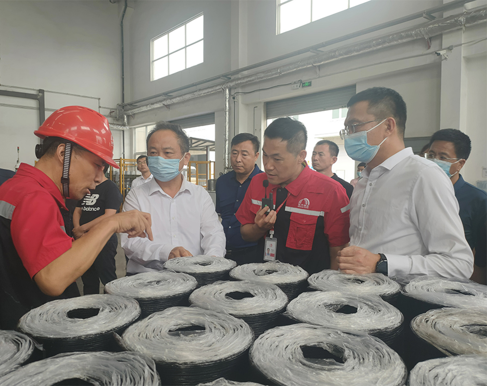 888�ڲ���-����Ϊ��,רҵ����