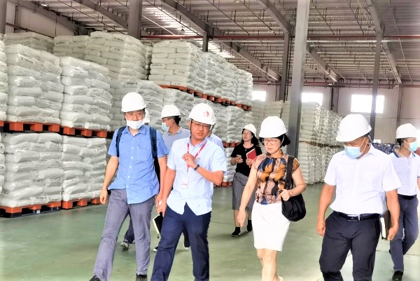 888�ڲ���-����Ϊ��,רҵ����