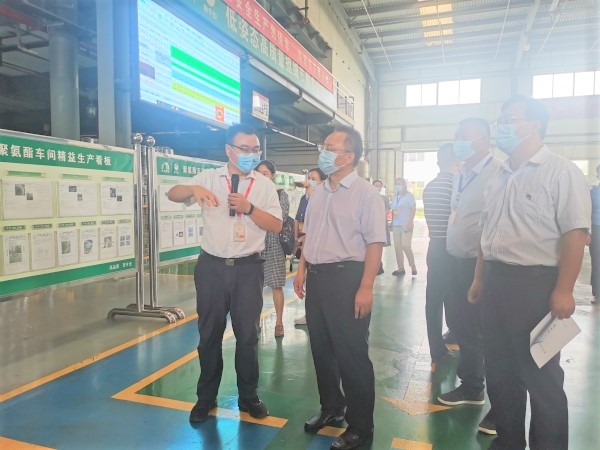 888�ڲ���-����Ϊ��,רҵ����