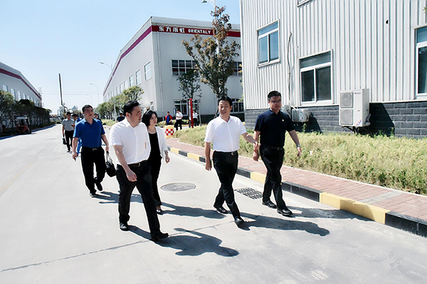 888�ڲ���-����Ϊ��,רҵ����