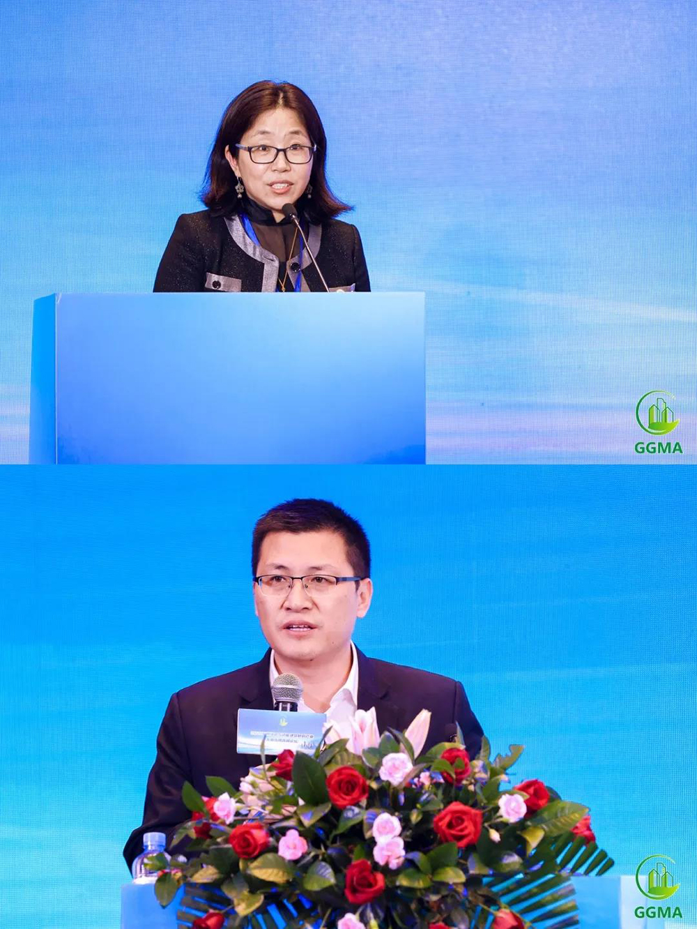 888�ڲ���-����Ϊ��,רҵ����