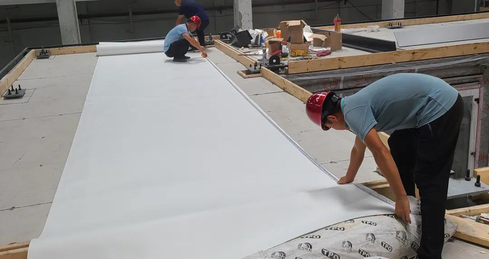 888�ڲ���-����Ϊ��,רҵ����