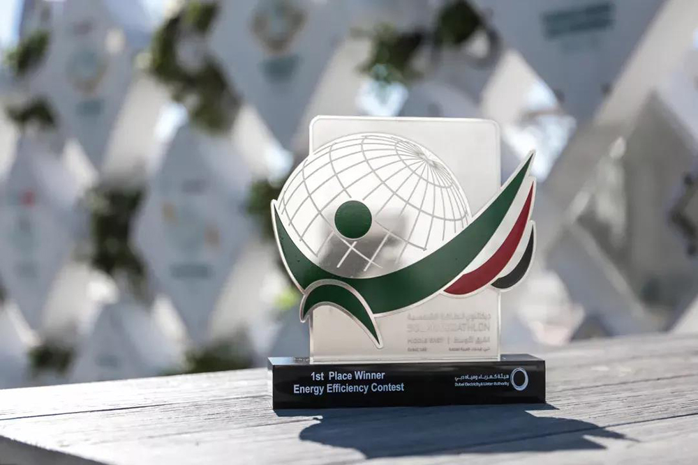 888�ڲ���-����Ϊ��,רҵ����