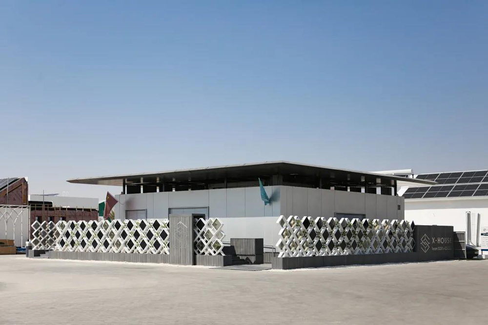 888�ڲ���-����Ϊ��,רҵ����