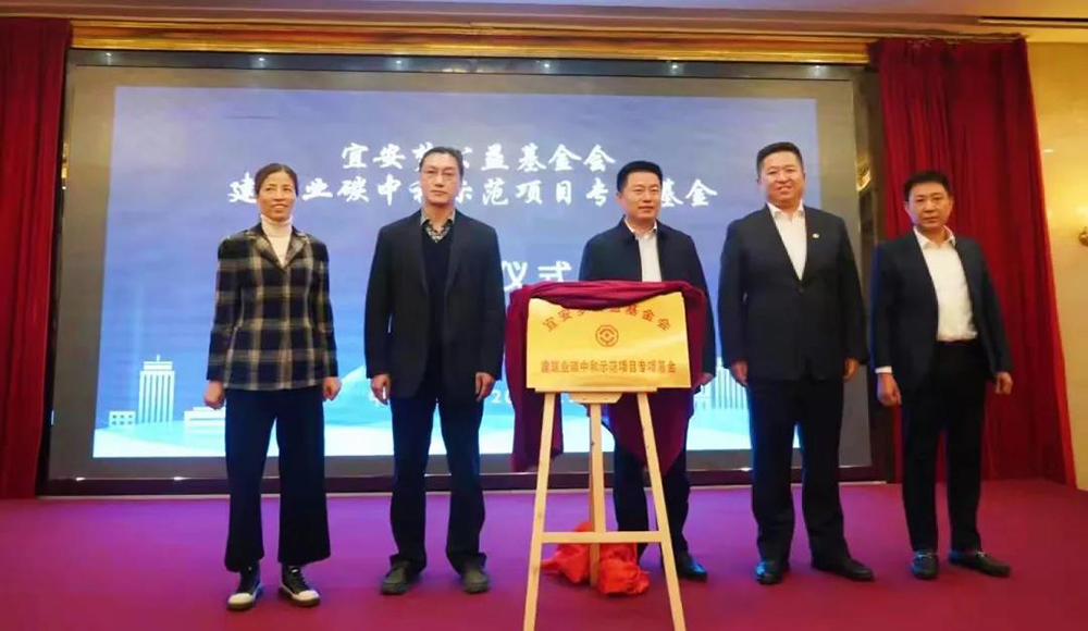 888�ڲ���-����Ϊ��,רҵ����