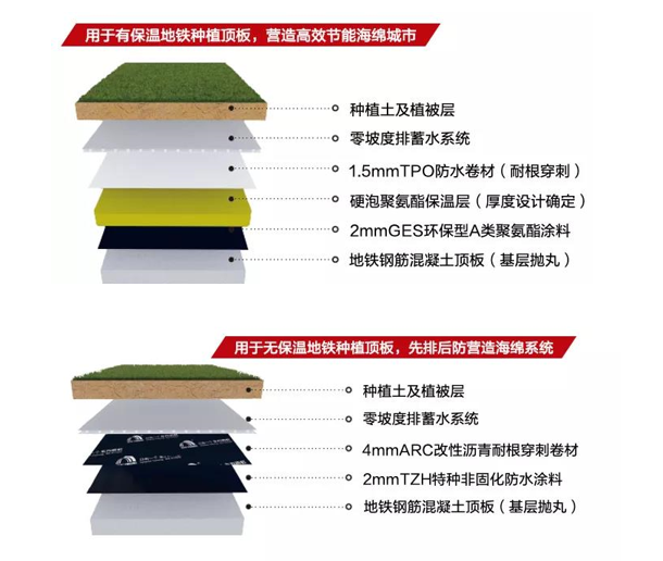 888�ڲ���-����Ϊ��,רҵ����