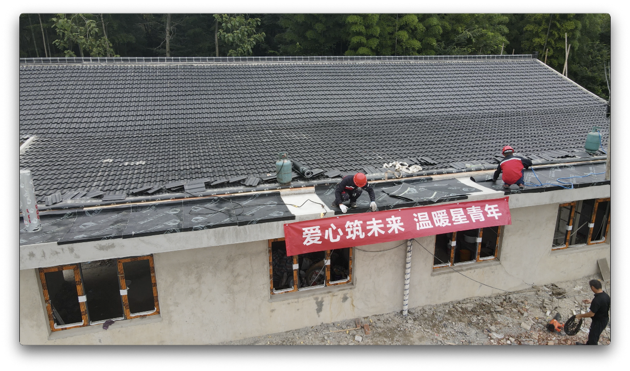 888�ڲ���-����Ϊ��,רҵ����