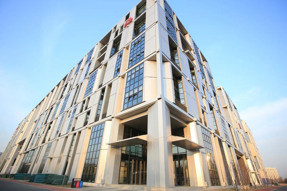 888�ڲ���-����Ϊ��,רҵ����