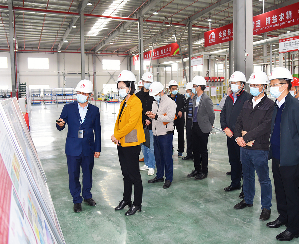 888�ڲ���-����Ϊ��,רҵ����