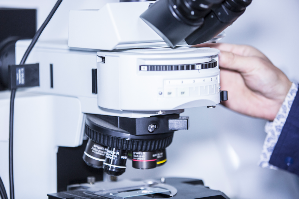 888�ڲ���-����Ϊ��,רҵ����