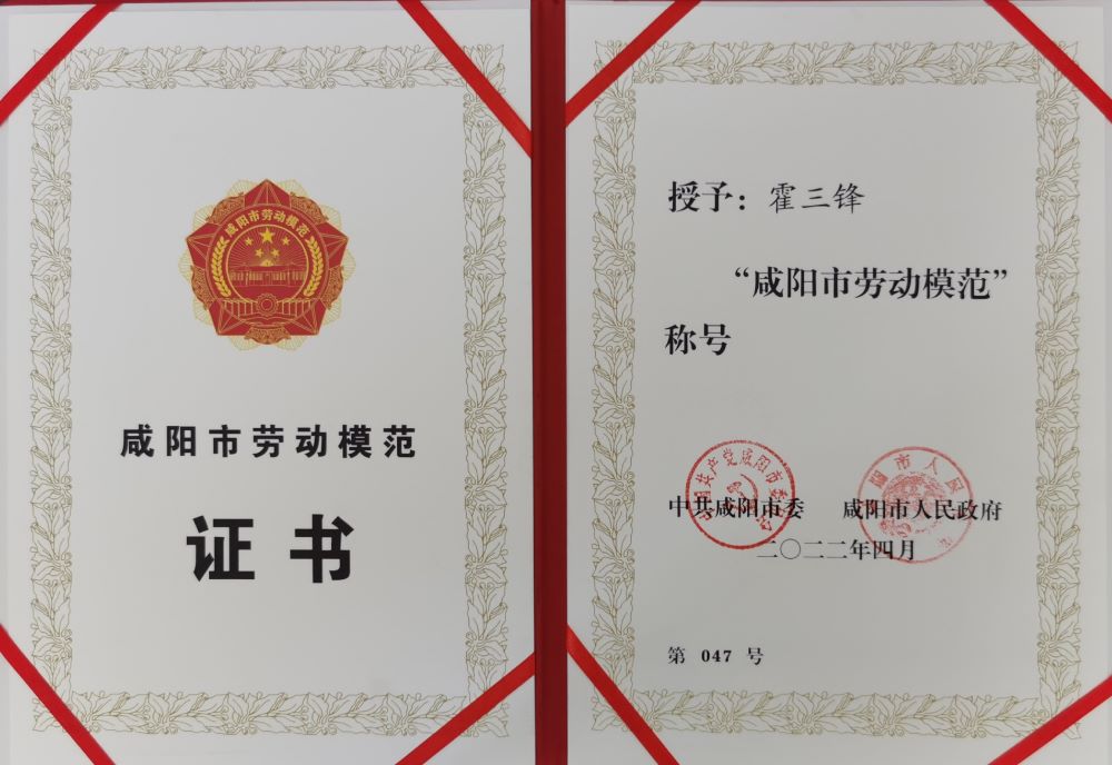 888�ڲ���-����Ϊ��,רҵ����