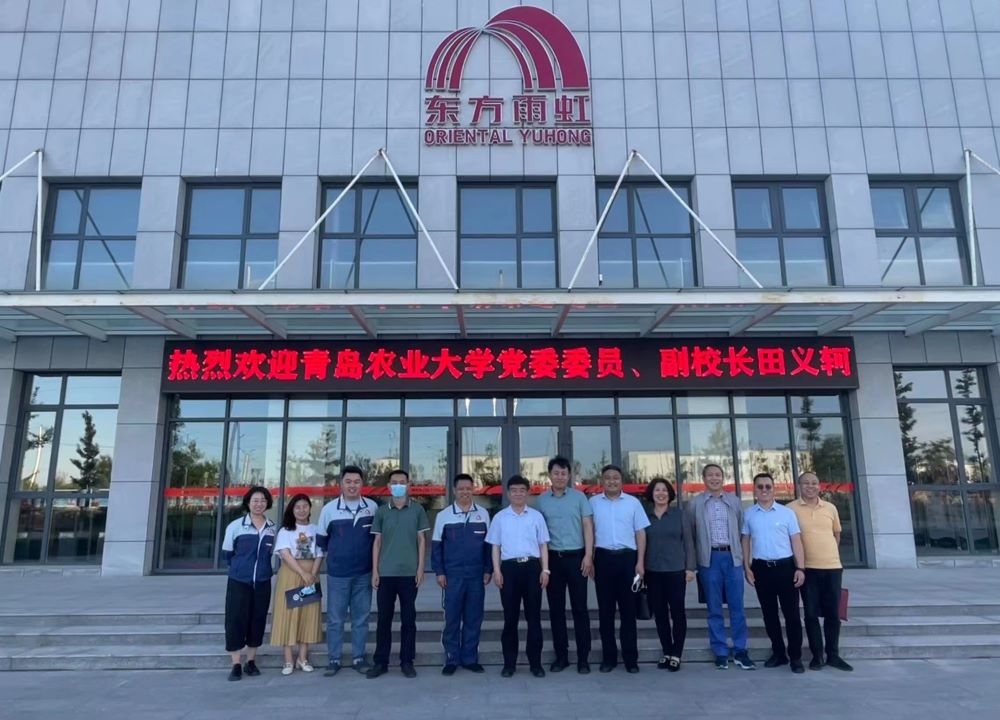 888�ڲ���-����Ϊ��,רҵ����