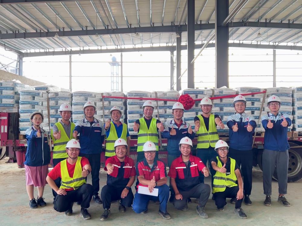 888�ڲ���-����Ϊ��,רҵ����