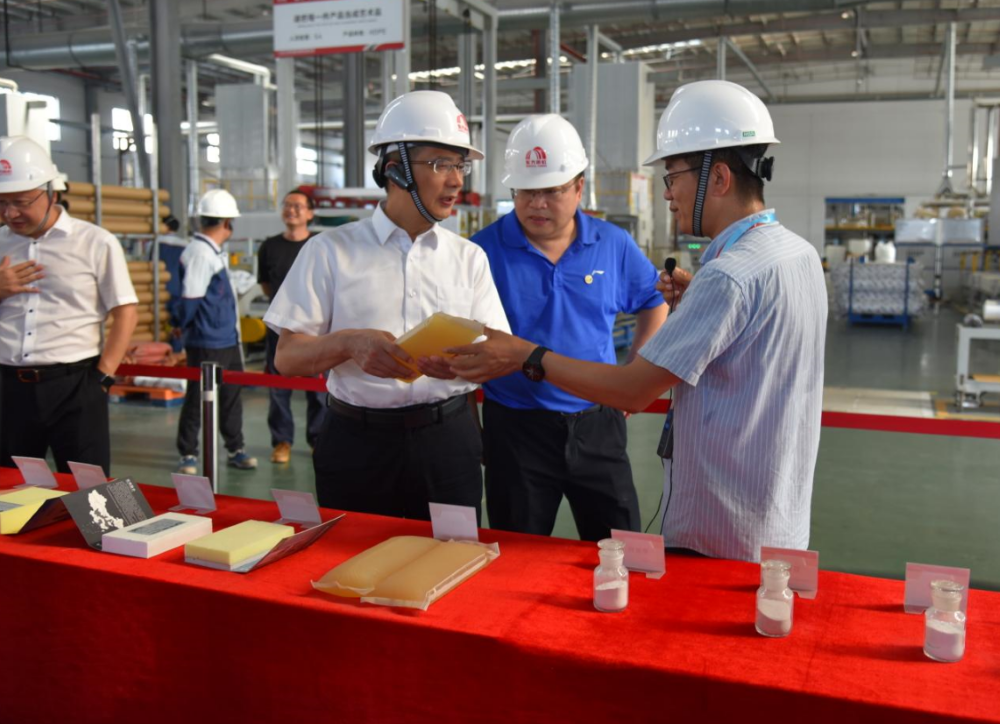 888�ڲ���-����Ϊ��,רҵ����