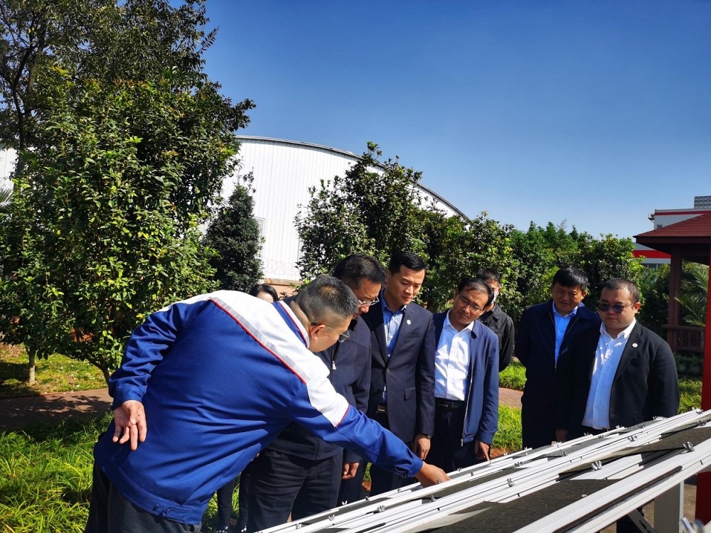 888�ڲ���-����Ϊ��,רҵ����