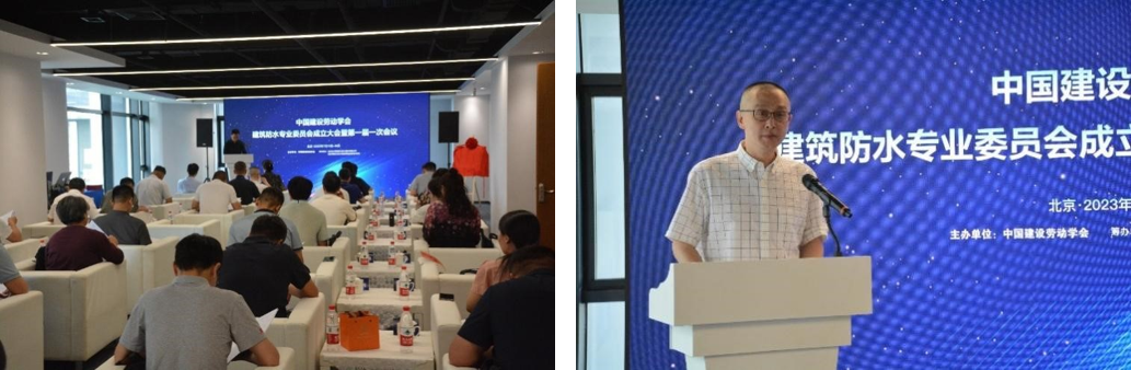 888�ڲ���-����Ϊ��,רҵ����