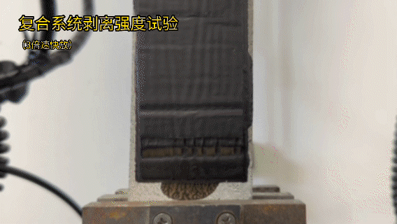 888腾博会-诚信为本,专业服务