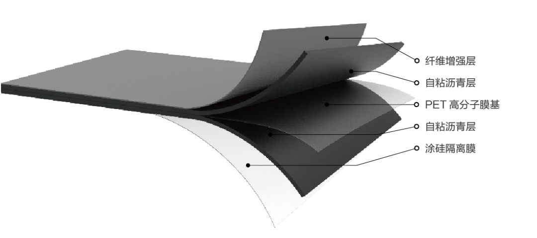 888�ڲ���-����Ϊ��,רҵ����