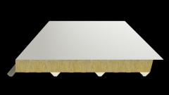 888�ڲ���-����Ϊ��,רҵ����