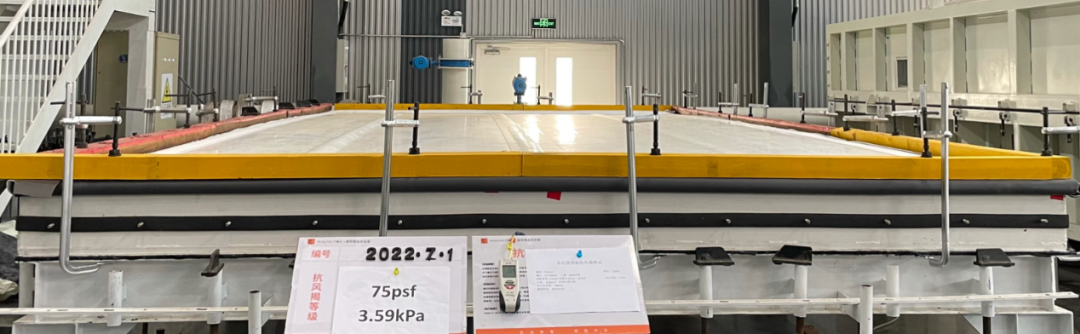 888�ڲ���-����Ϊ��,רҵ����