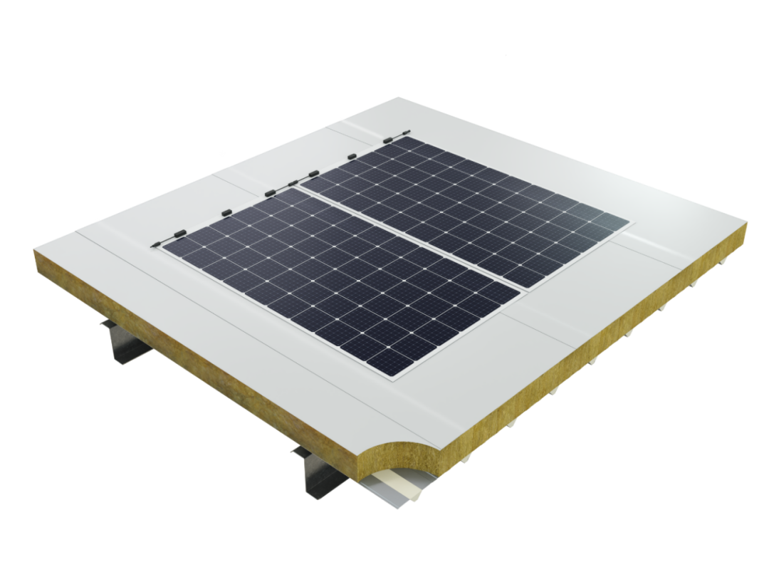 888�ڲ���-����Ϊ��,רҵ����