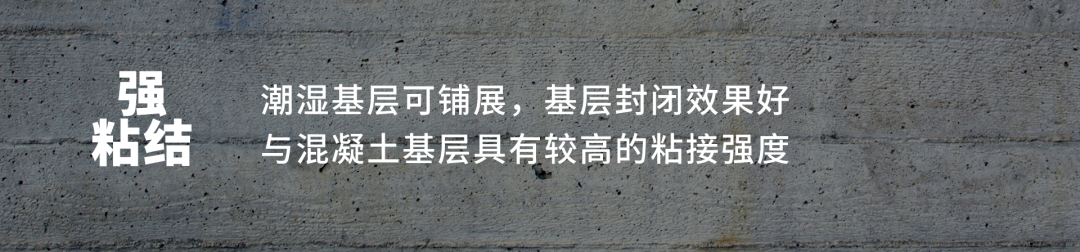 888�ڲ���-����Ϊ��,רҵ����