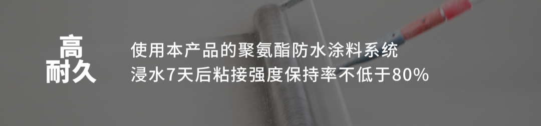 888�ڲ���-����Ϊ��,רҵ����