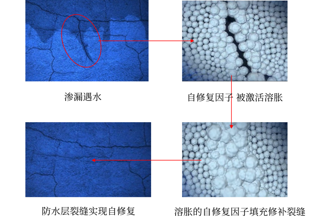 888腾博会-诚信为本,专业服务