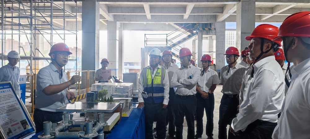 888�ڲ���-����Ϊ��,רҵ����