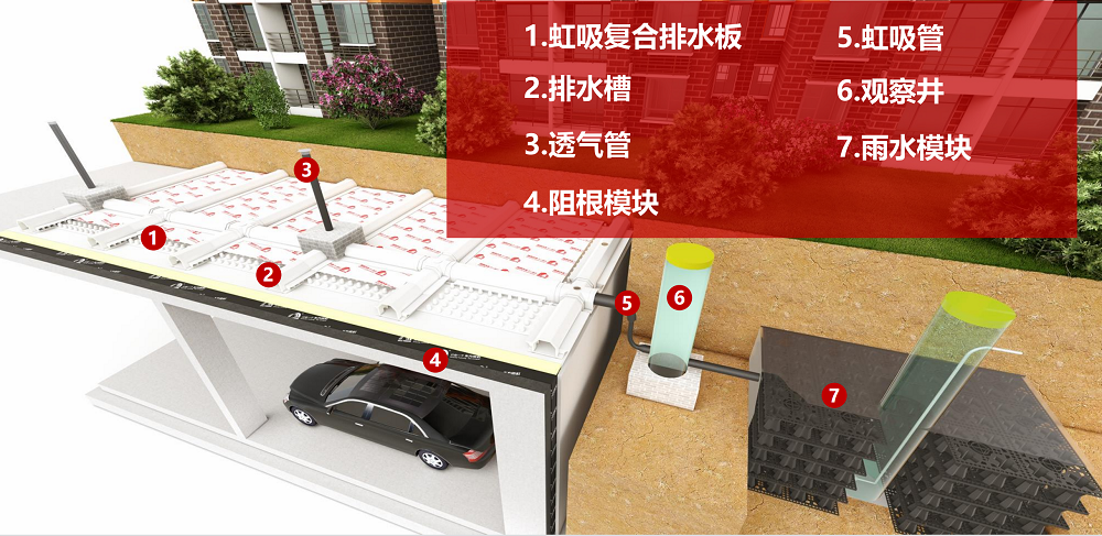 888�ڲ���-����Ϊ��,רҵ����