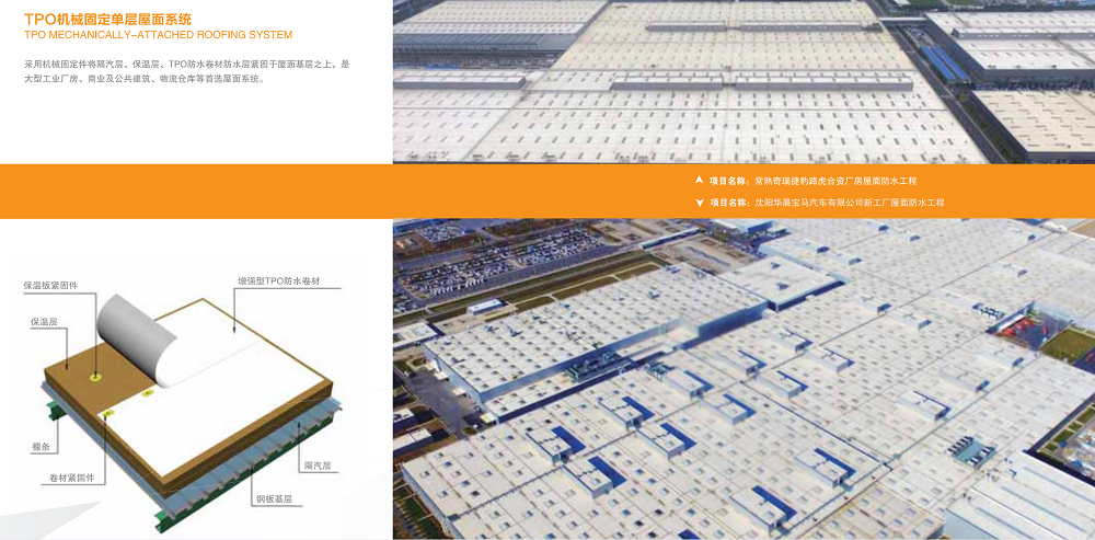 888�ڲ���-����Ϊ��,רҵ����