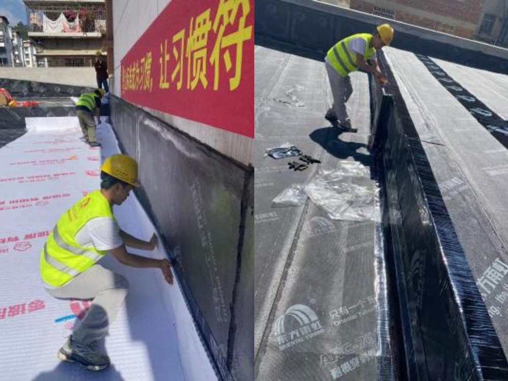 888�ڲ���-����Ϊ��,רҵ����