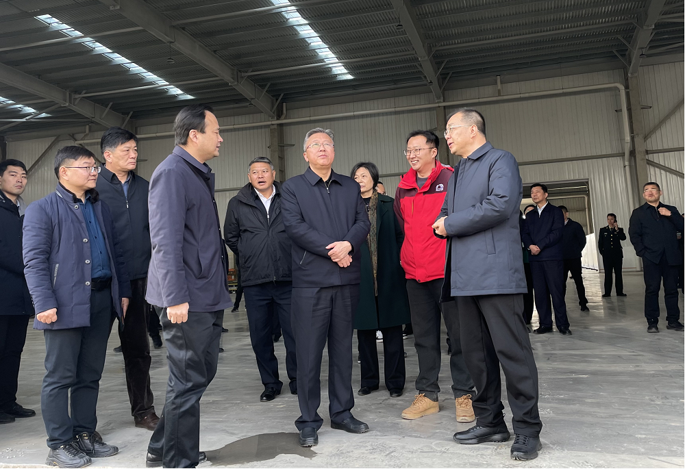 888�ڲ���-����Ϊ��,רҵ����