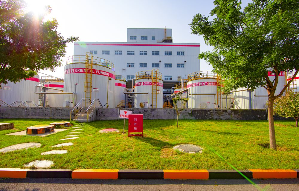 888�ڲ���-����Ϊ��,רҵ����