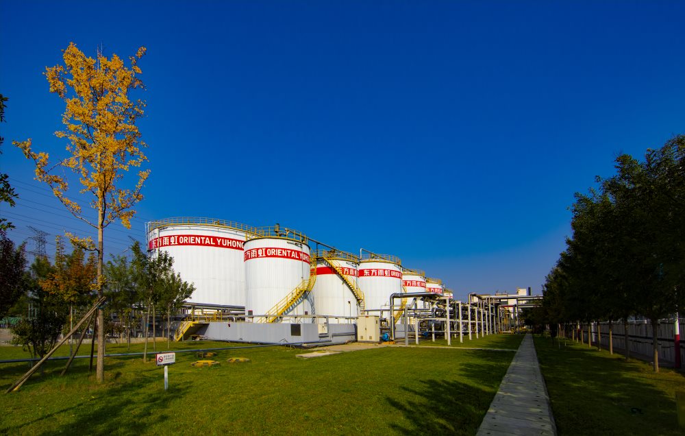 888�ڲ���-����Ϊ��,רҵ����